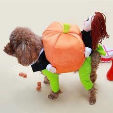 Ladda upp bild till gallerivisning, Husdjurs hund Pumpa Halloween -Dräkt
