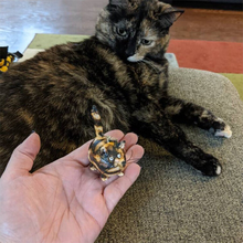 Ladda upp bild till gallerivisning, Kitty miniatyrskulptur
