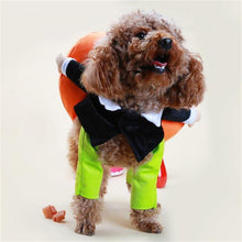 Ladda upp bild till gallerivisning, Husdjurs hund Pumpa Halloween -Dräkt
