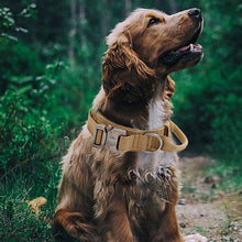 Ladda upp bild till gallerivisning, Hundhalsband med handtag
