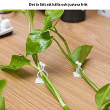 Ladda upp bild till gallerivisning, Väggklämma för klätterväxt
