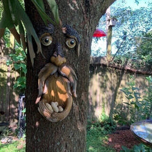 Ladda upp bild till gallerivisning, Old Man Träd Face Art Dekoration-Funny Bird
