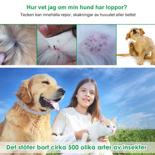 Ladda upp bild till gallerivisning, Pro Guard lopp- och fästkrage för hundar
