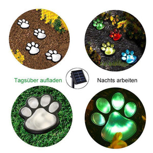 Bärenklauen Solar Gartenlicht
