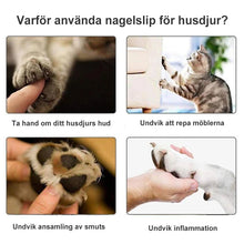 Ladda upp bild till gallerivisning, Elektrisk spik kvarn för husdjur

