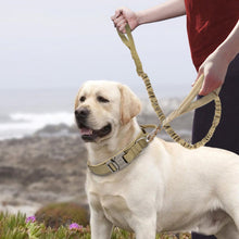 Ladda upp bild till gallerivisning, Hundhalsband med handtag

