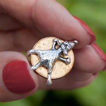 Ladda upp bild till gallerivisning, Musberlock Talisman | Skydda din rikedom

