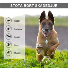Ladda upp bild till gallerivisning, Ultraljudsskydd för loppor och fästingar
