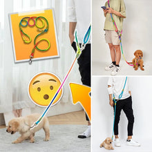 Ladda upp bild till gallerivisning, Handsfree hundkoppel
