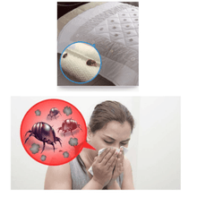 Ladda upp bild till gallerivisning, Dust Mite Killing Pad
